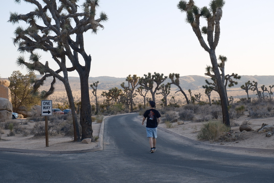 Joshua Tree National Park, California